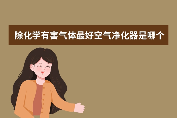 除化学有害气体最好空气净化器是哪个?