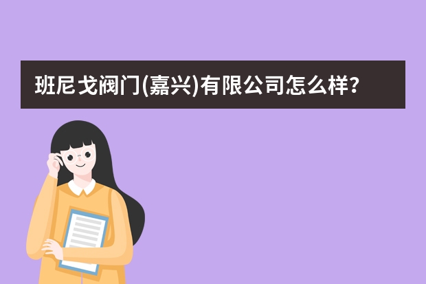 班尼戈阀门(嘉兴)有限公司怎么样?