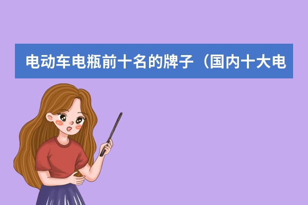 电动车电瓶前十名的牌子（国内十大电机品牌排行榜）