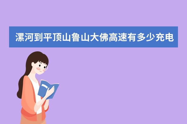 漯河到平顶山鲁山大佛高速有多少充电桩