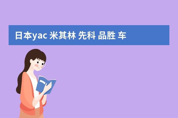 日本yac 米其林 先科 品胜 车载充电器 哪个好