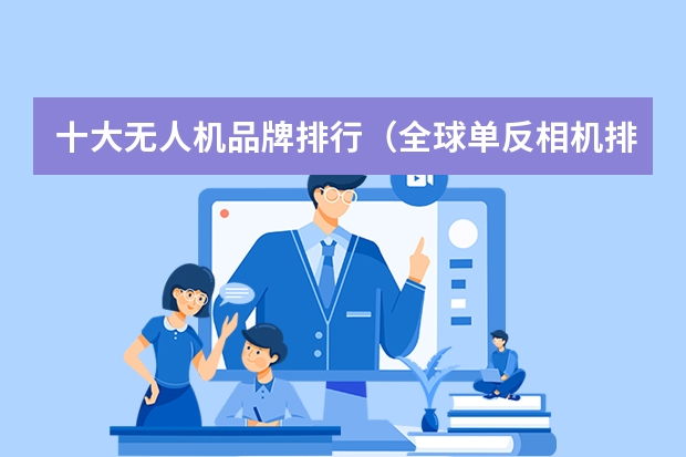 十大无人机品牌排行（全球单反相机排行榜）
