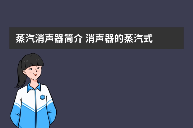 蒸汽消声器简介 消声器的蒸汽式
