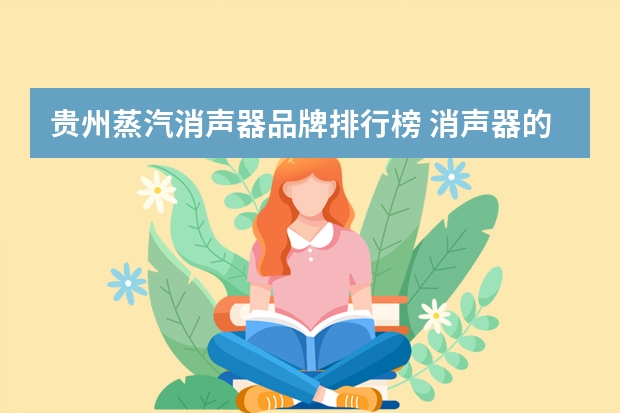 贵州蒸汽消声器品牌排行榜 消声器的蒸汽式