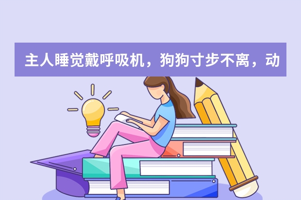 主人睡觉戴呼吸机，狗狗寸步不离，动物都是有感情的吗？