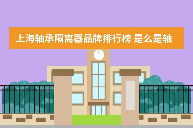 上海轴承隔离器品牌排行榜 是么是轴承隔离器