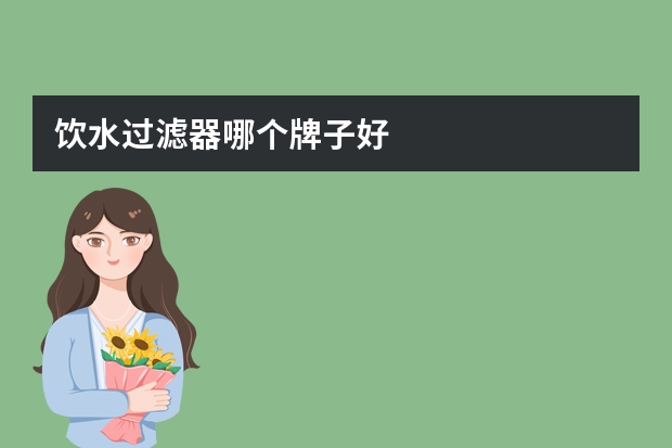 饮水过滤器哪个牌子好