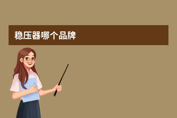 稳压器哪个品牌