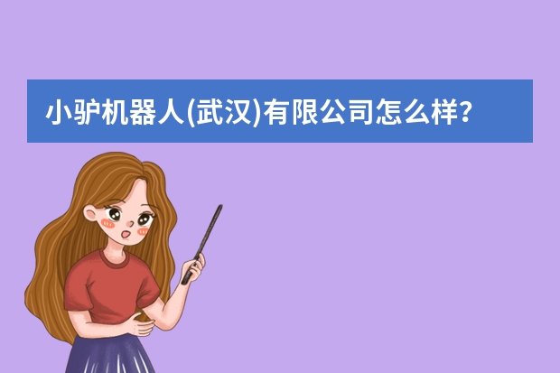 小驴机器人(武汉)有限公司怎么样？