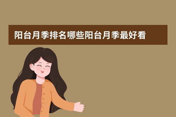 阳台月季排名哪些阳台月季最好看