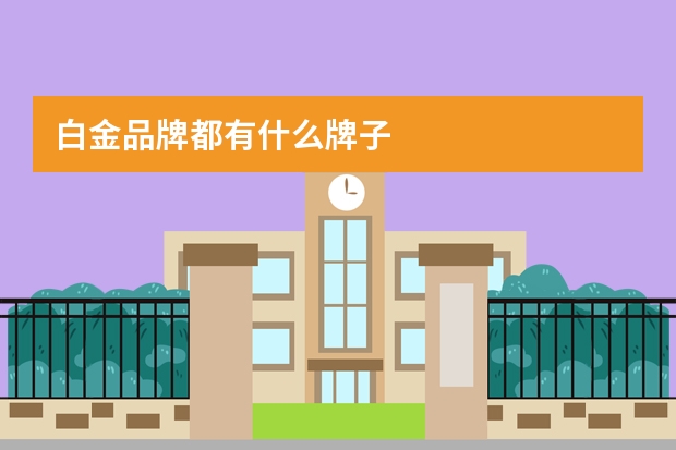 白金品牌都有什么牌子