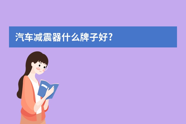 汽车减震器什么牌子好?