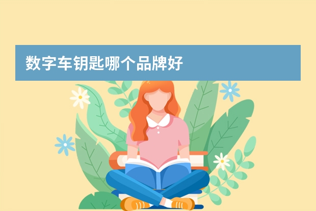 数字车钥匙哪个品牌好