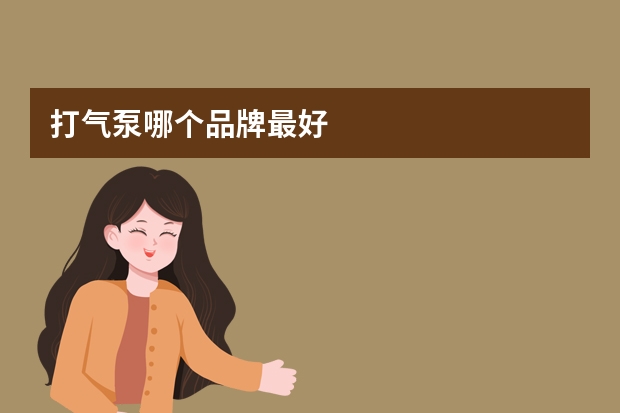打气泵哪个品牌最好