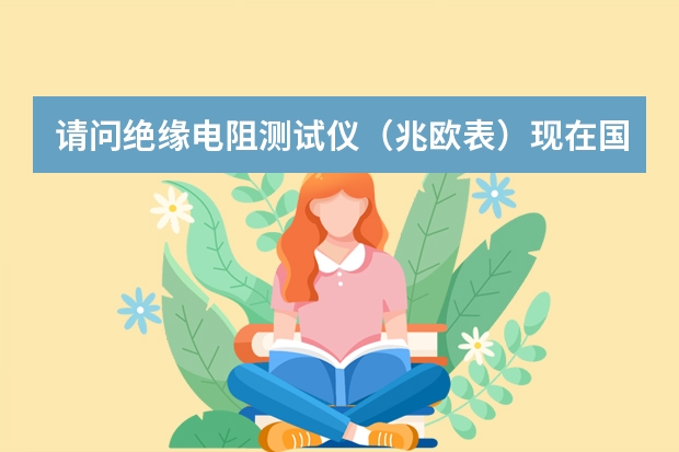 请问绝缘电阻测试仪（兆欧表）现在国内最好的牌子和国外最好的牌子是哪个？