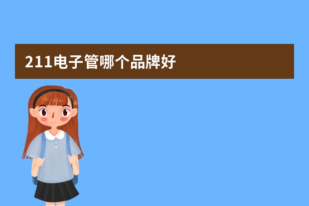 211电子管哪个品牌好