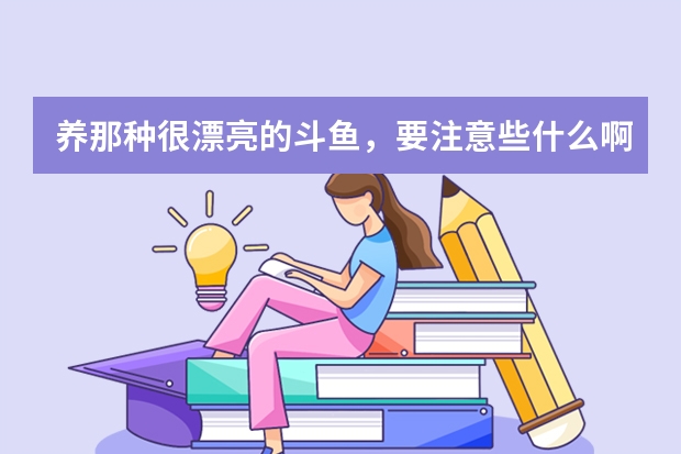 养那种很漂亮的斗鱼，要注意些什么啊？