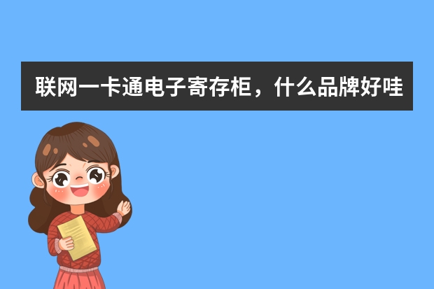 联网一卡通电子寄存柜,什么品牌好哇?