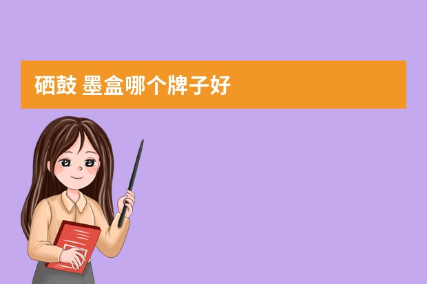 硒鼓 墨盒哪个牌子好