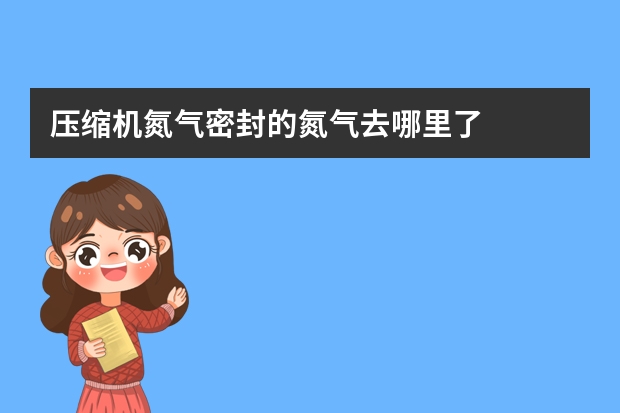 压缩机氮气密封的氮气去哪里了