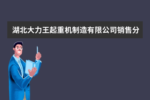 湖北大力王起重机制造有限公司销售分公司怎么样？