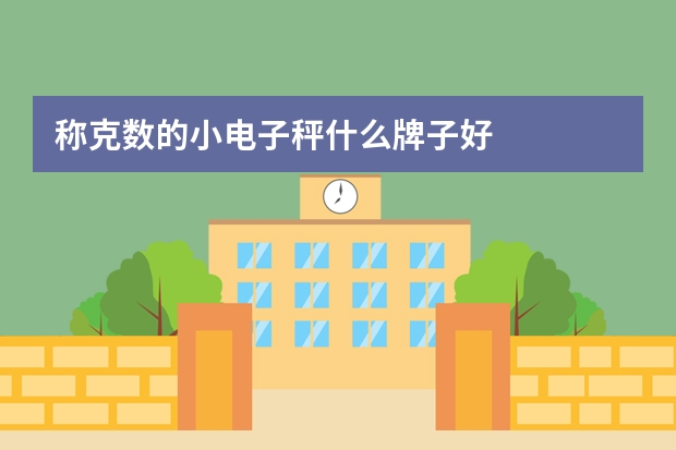 称克数的小电子秤什么牌子好