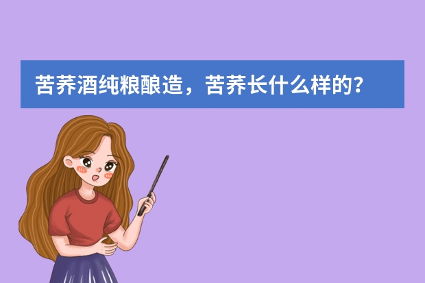 苦荞酒纯粮酿造，苦荞长什么样的？
