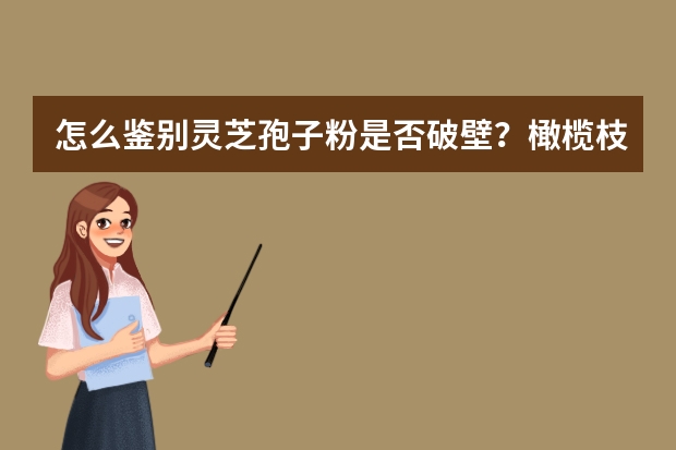 怎么鉴别灵芝孢子粉是否破壁？橄榄枝灵芝产的破壁灵芝孢子粉怎么样？