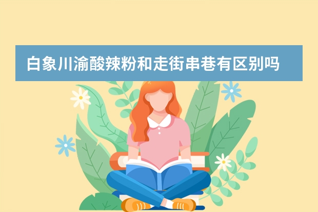 白象川渝酸辣粉和走街串巷有区别吗