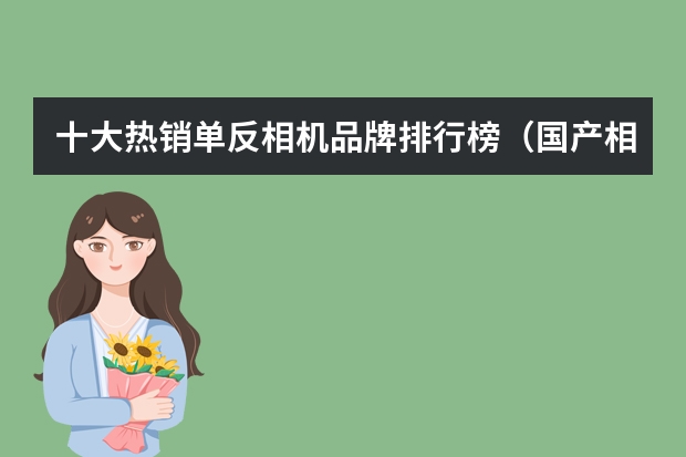 十大热销单反相机品牌排行榜（国产相机品牌排行榜前十名，国产数码相机十大排名）