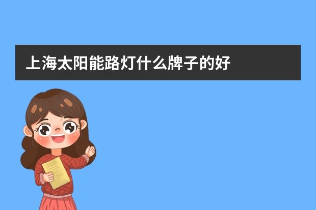 上海太阳能路灯什么牌子的好