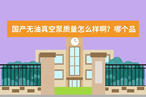 国产无油真空泵质量怎么样啊？哪个品牌好