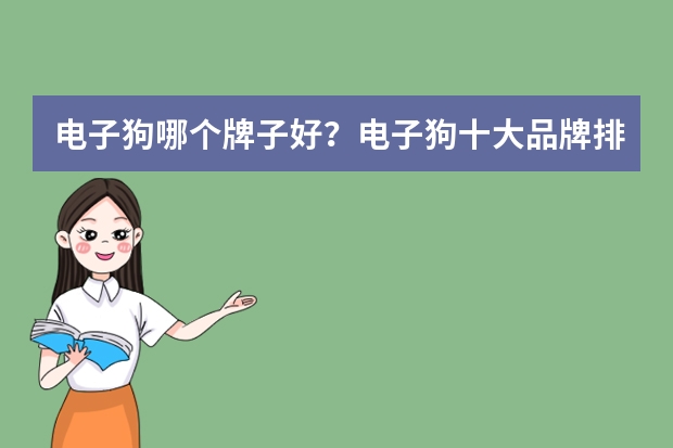 电子狗哪个牌子好？电子狗十大品牌排行榜