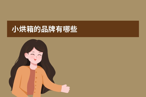 小烘箱的品牌有哪些