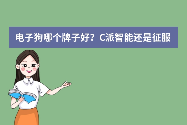 电子狗哪个牌子好？C派智能还是征服者？