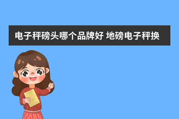 电子秤磅头哪个品牌好 地磅电子秤换秤头调试方法