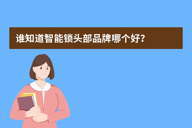 谁知道智能锁头部品牌哪个好？