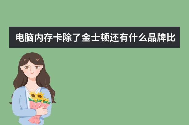 电脑内存卡除了金士顿还有什么品牌比较好用?