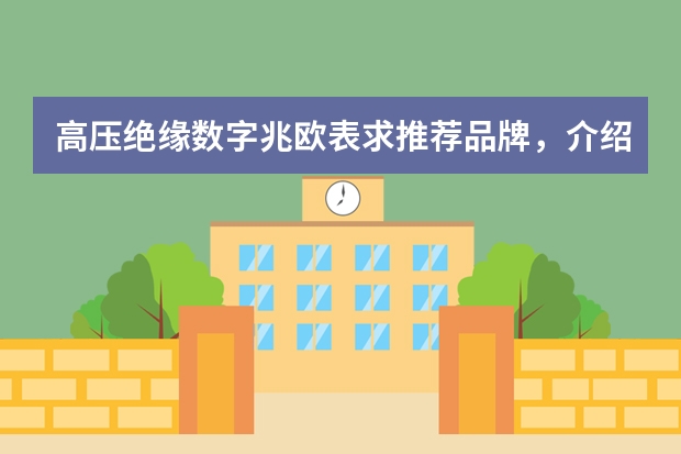 高压绝缘数字兆欧表求推荐品牌，介绍下（品牌榜：2024年兆欧表十大品牌排行榜 投票结果公布【新】）
