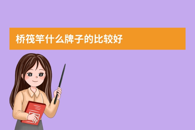 桥筏竿什么牌子的比较好