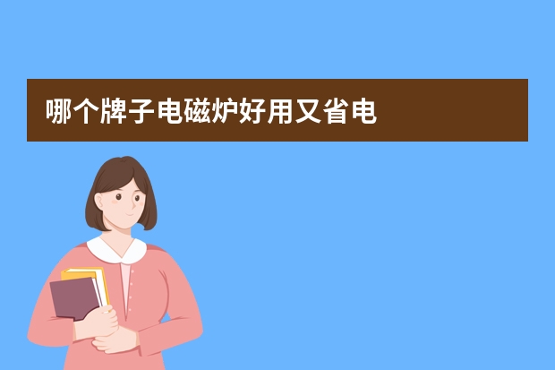 哪个牌子电磁炉好用又省电