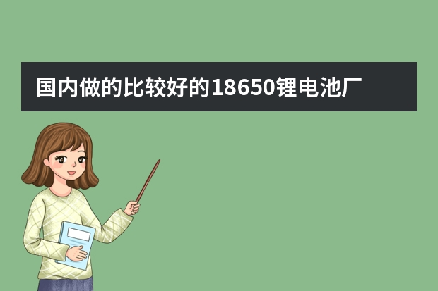 国内做的比较好的18650锂电池厂有哪些？