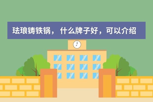 珐琅铸铁锅， 什么牌子好，可以介绍下吗？
