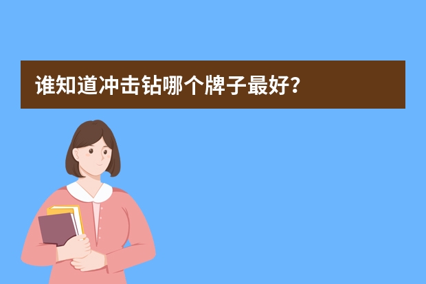 谁知道冲击钻哪个牌子最好？
