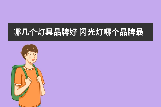 哪几个灯具品牌好 闪光灯哪个品牌最好