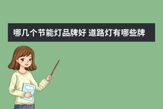 哪几个节能灯品牌好 道路灯有哪些牌子