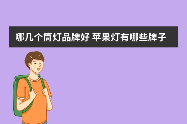 哪几个筒灯品牌好 苹果灯有哪些牌子
