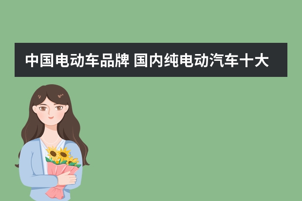 中国电动车品牌 国内纯电动汽车十大名牌