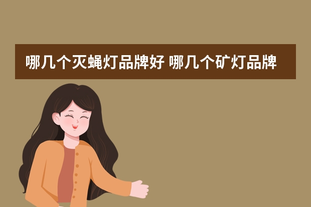 哪几个灭蝇灯品牌好 哪几个矿灯品牌好