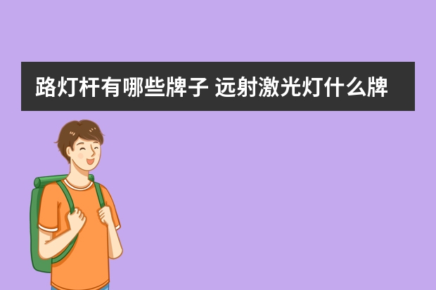 路灯杆有哪些牌子 远射激光灯什么牌子的好